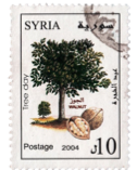 Syria- Arab Heritage Collection